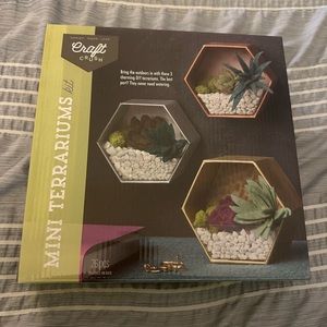 Mini-terrarium Craft Kit